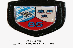 Ein Abzeichen mit der Nummer 85 und deutschem Text unten, das das Logo der bayerischen Fußballmannschaft darstellt.