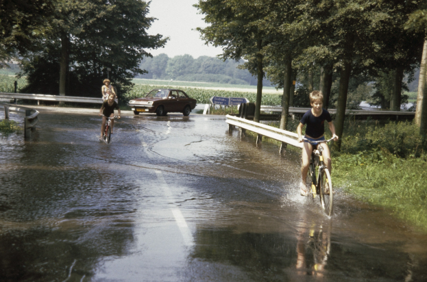 Eine Gruppe von Menschen fährt mit Fahrrädern auf einer überfluteten Straße, mit einem daneben fahrenden Auto, gesäumt von einem Geländer und umgeben von Bäumen und Pflanzen, unter einem klaren blauen Himmel.