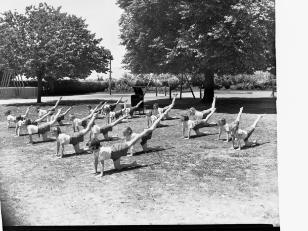 Schwarz-weiß-Foto einer Gruppe von Menschen, die Yoga in einem Park mit Bäumen und Pflanzen machen.