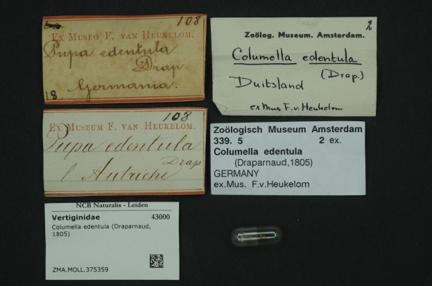 Eine Sammlung alter Visitenkarten mit Texten zum Thema Columella edentula, ein niederländisches Medikament, und ein kleiner Zettel mit einem Barcode.