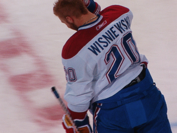 Professioneller Eishockeyspieler in einem "Wisniewski"-Trikot, der einen Eishockeyschläger auf dem Eis hält und konzentriert schaut.