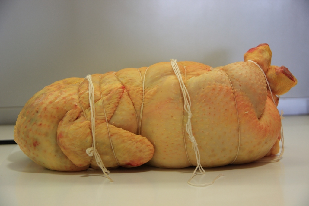 Fleischstücke, die mit Fäden zusammengebunden sind, vor einem weißen Hintergrund.