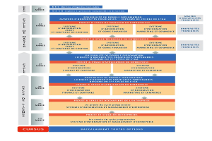 Diagramm, das die Organisationsstruktur eines Unternehmens mit interconnected boxes darstellt, die verschiedene Phasen des Unternehmenswachstums und der Entwicklung darstellen, begleitet von Text, der die Rollen und Verantwortlichkeiten beschreibt.