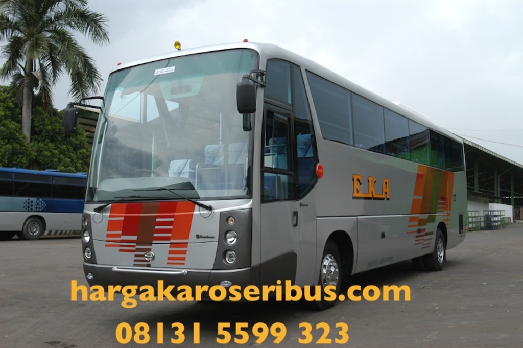 Ein grauer Bus in der Mitte, ein blauer Bus links, Täler, ein Schuppen rechts, Himmel oben und Kontaktinformationen unten.