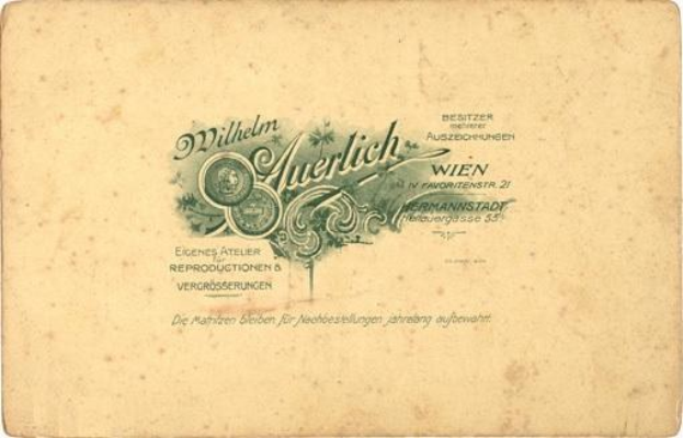 Alte deutsche Banknote mit einem Porträt von Wilhelm Auerlich Wien in Anzug und Krawatte, mit dem Text "Wilhelm Auerlich Wien" sichtbar und einem weißen Hintergrund.