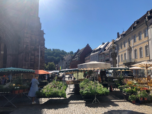 Ein belebter Markt im alten Stadtzentrum von Heidelberg mit Menschen an Tischen mit Blumentöpfen und Schirmen unter einem klaren blauen Himmel.