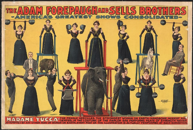 Plakat für Adam Forepaugh und Sells Brothers Circus mit Performern auf Hockern und einem Elefanten sowie Werbetext.