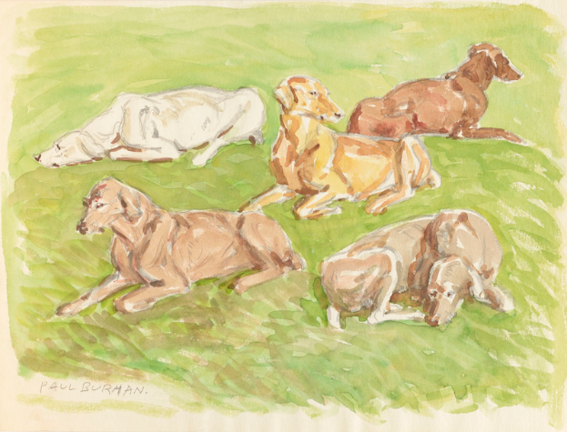 Ein realistisches Gemälde von mehreren Dackeln, die auf einem leuchtend grünen Feld unter einer strahlenden Sonne liegen.